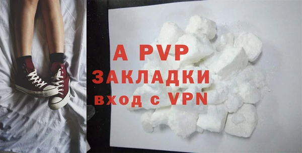 индика Майский