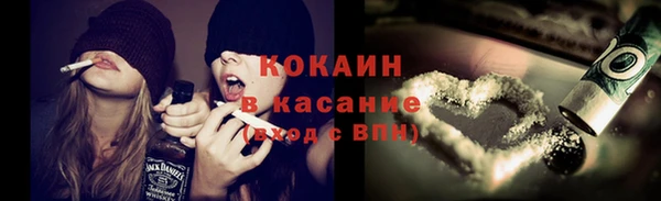 индика Майский