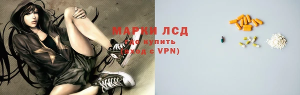 индика Майский