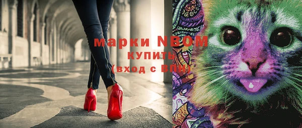 индика Майский