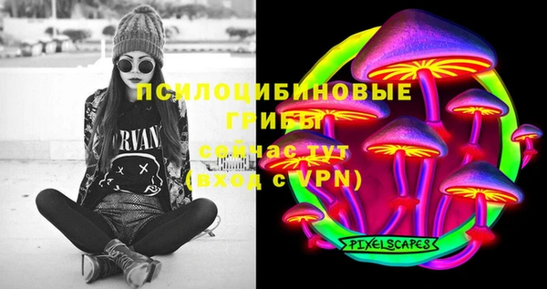 индика Майский