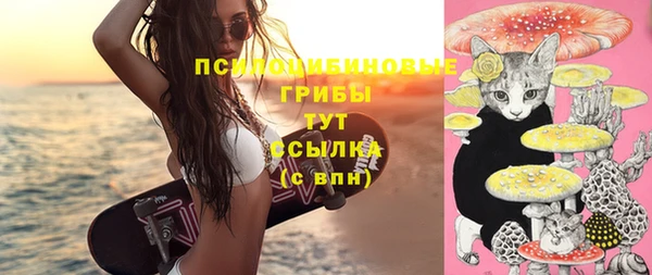 индика Майский