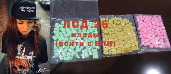 индика Майский