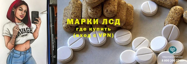 индика Майский