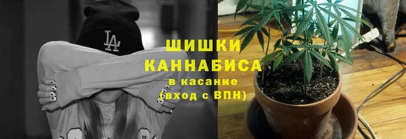 MEGA   Гаврилов Посад  Канабис OG Kush 